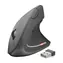 Trust Verto kabellose ergonomische Maus / kabellose ergonomische Maus / 1600 DPI / 2,4 GHz / Nano-USB 