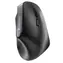 Cherry MW 4500 schwarz / Ergonomische Maus / 1200DPI / 2,4GHz / USB Nano / 2x AAA