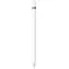 Apple Pencil (1. Generation) 2022 / Stift mit USB-C-Adapter / im Angebot