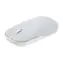 Asus MD100 grau / Kabellose Maus / optisch / 800-1600 DPI / 3 Tasten / BT 5.0 / 2,4 GHz 