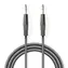 Nedis Stereo-Audiokabel 6,35 mm Klinke (M) - 6,35 mm Klinke (M) 5,00 m Dunkelgrau