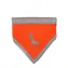 Alcott Reflektierender Schal für Hunde orange - Größe L
