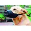 Beeztees Maulkorb für Hunde, Nylon, 14 cm