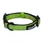 Alcott Adventure grün - Größe L / reflektierendes Halsband für Hunde