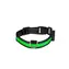 Num'axes Leuchtendes Halsband grün - Größe L
