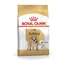 Royal Canin Bulldog Adult - Geflügel & Reis 12 kg / Granulat für Hunde
