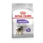 Royal Canin CCN Mini Sterilised 3 kg / Granulat für Hunde / 1-10 kg / Masttendenz