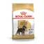 Royal Canin Zwergschnauzer Adult 3 kg / Granulat für Hunde 