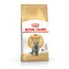 Royal Canin Britisch Kurzhaar Adult 4 kg / Granulat für Katzen 