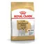 Royal Canin Jack Russell Adult 7,5 kg / Granulat für Hunde