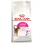 Royal Canin Aroma Exigent Adult 10 kg / Granulat für Katzen / Sehr wählerische erwachsene Katzen / Endverkauf