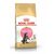 Royal Canin Maine Coon Kitten 4 kg / Granulat für Katzen 