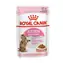 Royal Canin Sterilised Gravy 12 x 85 g / Beutel für Katzen