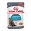 Royal Canin Urinary Care in Gravy 12x85g / Beutel für Katzen / gesunde Harnwege
