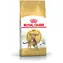 Royal Canin Bengal Adult 2 kg / Granulat für erwachsene Katzen / Bengalen