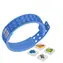 PIXIE CREW Creative Dino Armband blau / ab 6 Jahren