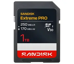 SanDisk Extreme PRO SDXC 1 TB / Speicherkarte / UHS-I / U3 / Lesen: 250 MB/s / Schreiben: 170 MB/s / geeignet für 4K
