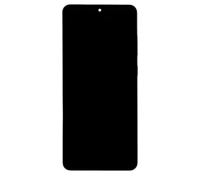 Display in Kosmisch Grau für Samsung Galaxy S20 Ultra / OLED-Ersatzdisplay / mit Touchscreen und Frontabdeckung / SM-G988