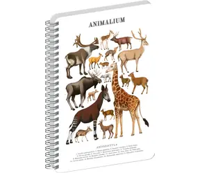 NOTIQUE Animalium - Paarhufer / Spiralnotizbuch / A5 / Transparent