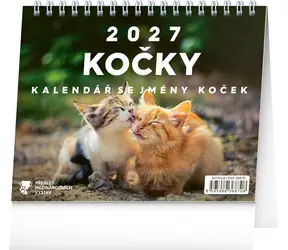 NOTIQUE Katzen - mit Katzennamen 2027 / Tischkalender / 16,5 × 13 cm