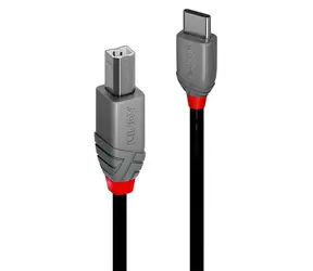 Lindy / USB-Kabel / USB-C auf USB-B / 0,5 m / Schwarz