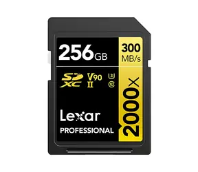 Lexar 256 GB / Speicherkarte / SDXC