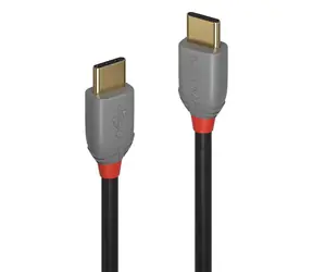 Lindy USB-C 1 m schwarz / USB-Kabel / USB 2.0 / 480 Mbit/s