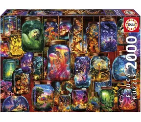 Educa Puzzle Träume im Glas / 2000 Teile