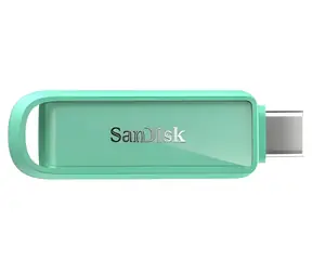 SanDisk Phone Drive 256 GB Seegrün / Flash-Speicher / USB-C