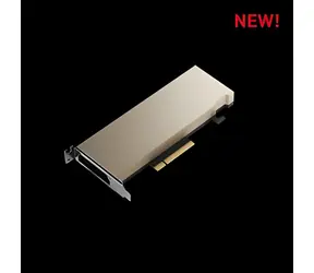 PNY Nvidia RTX A2 Low Profile / Grafikkarte / 16 GB GDDR6 / 128-Bit / PCIe 4.0 x8 / Passiv / Einzelsteckplatz