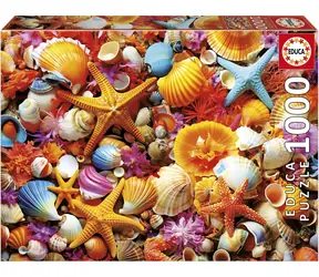 Educa Puzzle Muscheln / 1000 Teile