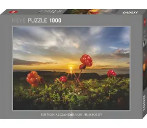 HEYE Puzzle Moltebeeren / 1000 Teile / Alexander von Humboldt Edition / 70 x 50 cm