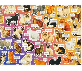 Galison Puzzle Stimmungskatzen / 1000 Teile
