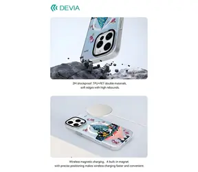 Devia Canvas Series Magic Academy / Magnetische Hülle / MagSafe / Apple iPhone 16 Pro Max