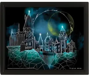 3D-Pyramide - Harry Potter - Hogwarts / Lizenzdesign
