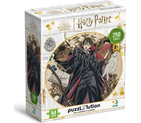 DODO Puzzle Harry Potter: Der junge Zauberer / 250 Teile