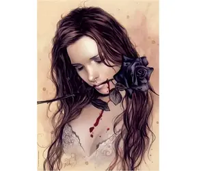 HEYE Puzzle Favole: Dunkelrosa / 1000 Teile / 50 x 70 cm