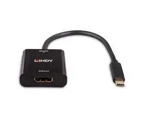 Lindy USB-C - DisplayPort Schwarz / Konverter / 4K 144Hz / DisplayPort 1.4 / 21cm