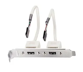 Lindy Slotblech USB-Adapter / Reduzierung / 2x USB-A - 2x IDC 5-Pin / 0,2 m