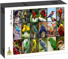GRAPHICS Puzzle Die schönsten Vögel der Welt / 1500 Teile / 85 × 61 cm