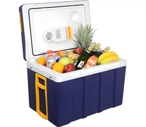Compass Kühlbox 50 l 230 V/12 V mobil / Kühlbox / 50 l / 12 V/230 V / Kühl- und Heizfunktion