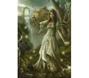 GRAPHICS Puzzle Irrlicht / 1000 Teile / 69 × 47,8 cm