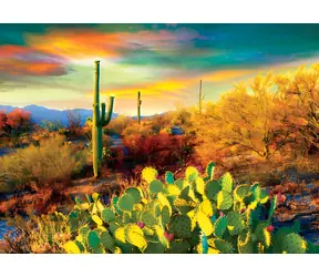 EUROGRAPHICS Puzzle Wüstenträume / 1000 Teile / 67,6 × 48,9 cm