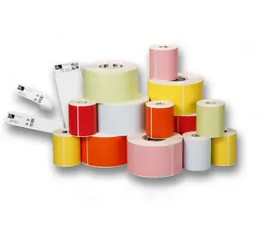 ZEBRA -Armband 1 x 11 Zoll (25,4 x 279,4 mm) / Armband / Polyester / DT / Z-Band 4000 / Klebeverschluss / 265 Stück/Rolle