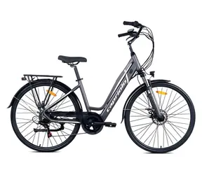 Capriolo E-City Lady 28 grau-oliv / Elektrofahrrad