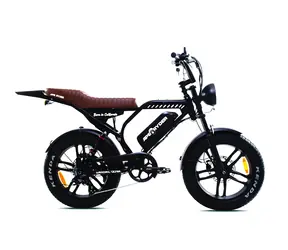 Capriolo APE RYDER MANDRIL ULTRA 2025 schwarz / Elektrofahrrad