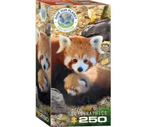 EUROGRAPHICS Puzzle „Rettet unseren Planet“: Rote Pandas XL / 250 Teile / extra große Teile / 33 x 48 cm