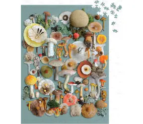 Galison Puzzle Harvest / 1000 Teile