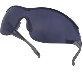 Delta PLUS Egon Rauchschutzbrille / Schutzbrille / Polycarbonat / UV400