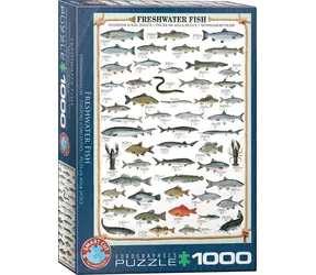 EUROGRAPHICS Puzzle Süßwasserfische / 1000 Teile / 48,89 x 67,63 cm